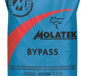 chick chick no1 5okg