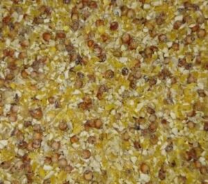 chick chick no1 5okg