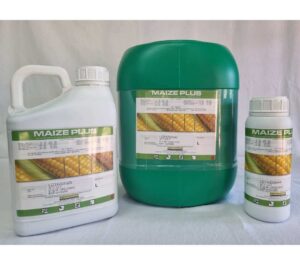 maize plus