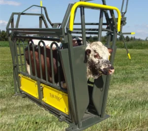 neck and body clamp (feed lot)