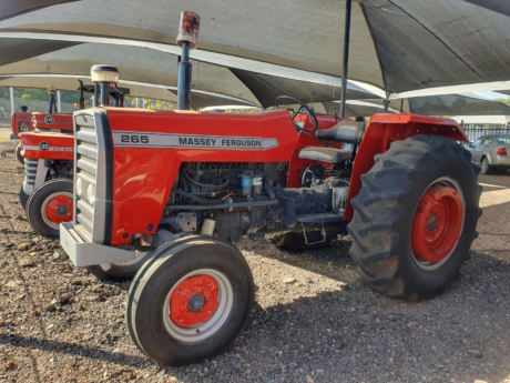 image 2026 02 05 175834397